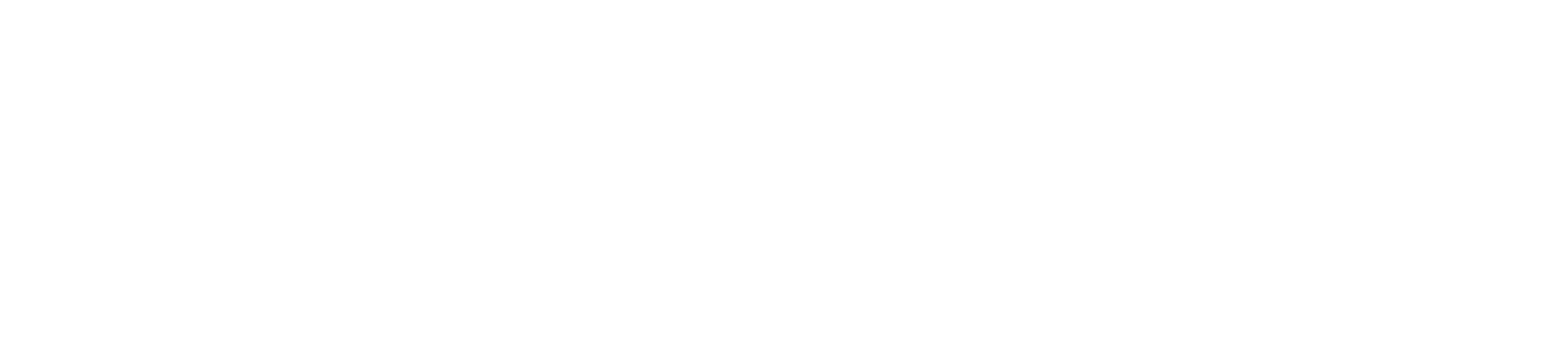 Technology Innovation Partners Inc. Logo